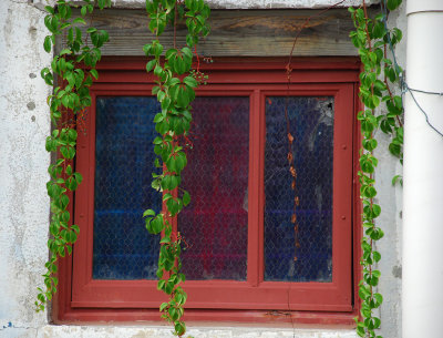 Billiard hall window