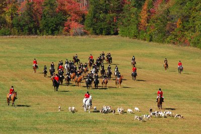 Horses and hounds