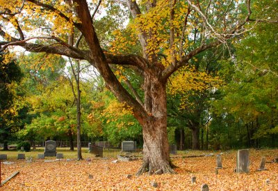 Confederate Cemetery