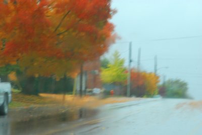 Rainy street