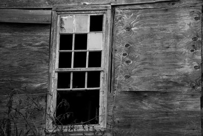 Bleak