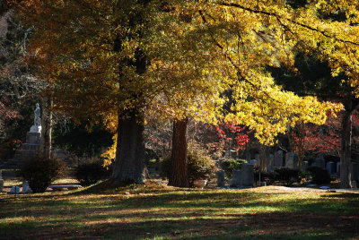 November light
