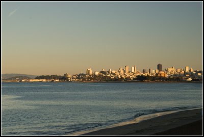 The City