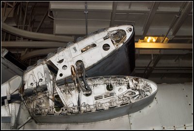 A Wing's Innards