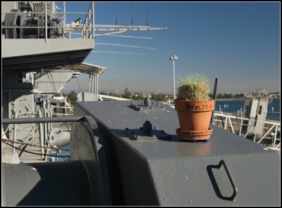 Wilson Plant