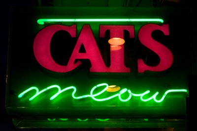 Cats Meow