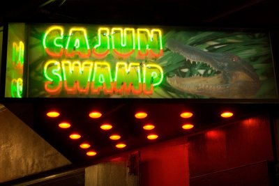Cajun Swamp