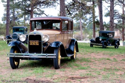 3 Model A's in the Trees