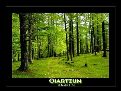 Oiartzun - Spain