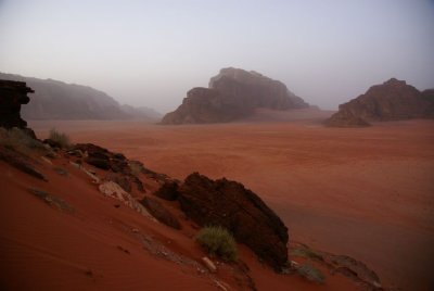 110.jpg