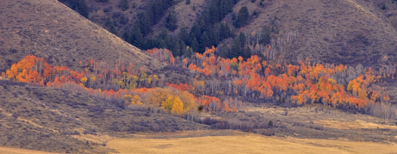 Idaho