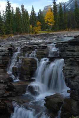 Athabasca Falls, Jasper National Park, Alberta. Canada
