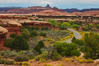 Canyonland National Park, the Needles District