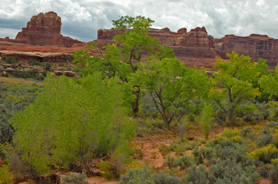 Canyonland National park, Needles District