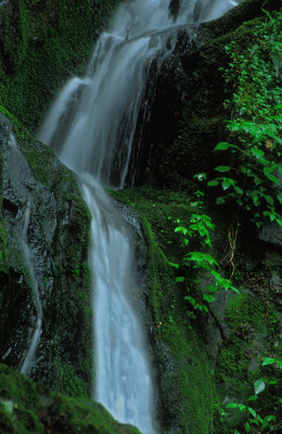 The Place of a Thousand Drips, Great Smoky Mountain National Park. Tennessee