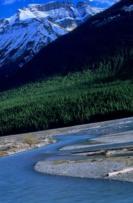 Bow River, Jasper National Park, Alberta, Canada