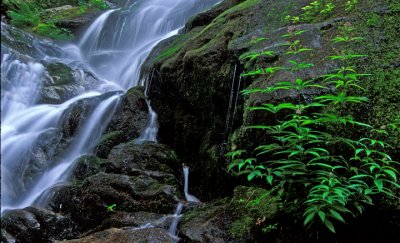 Crabtree Falls, Virginia