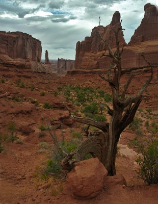 Park Avenue, Arches National Park