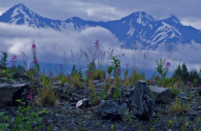 Kenai Peninsula, Alaska