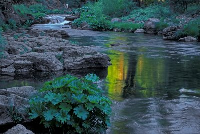 McLeod River, Oregon