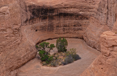 Arches National Park