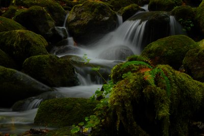 Lower Wallace Falls, Wallace Falls State Park, Washington