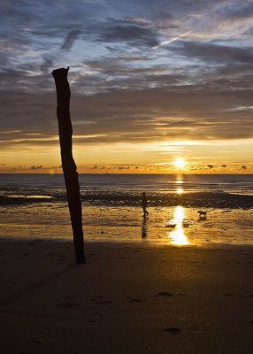 The Stick at Sunrise_3528 copy.jpg