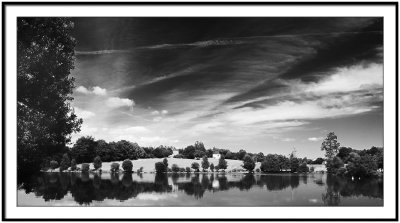 Tree Reflexions