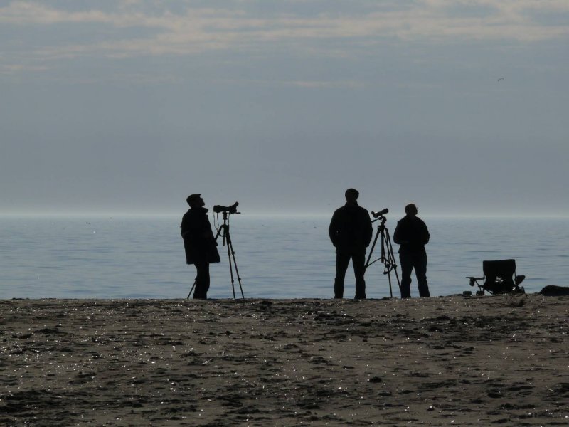 Birdwatchers on Horn of Kolka, northern tip of Kurzeme