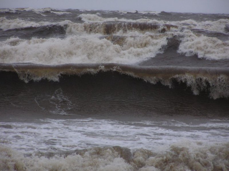 The great storm of January 2005 and its consequences