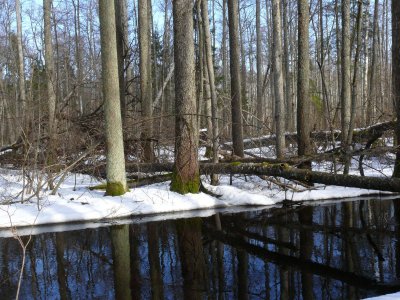 Versupite river in Kemeri