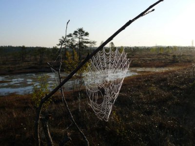 Kemeri National Park