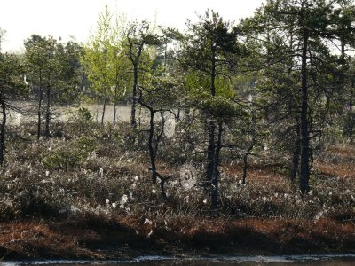 Kemeri National Park