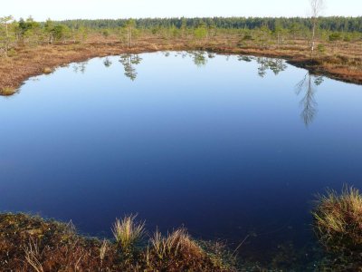 Kemeri National Park