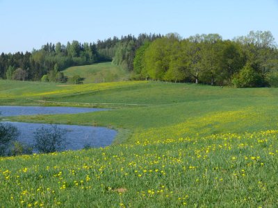 Aluksne highlands, view on Delinkalns