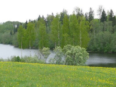 Raipala lake, Korneti area