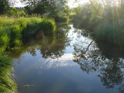 Tirza river near Karkli