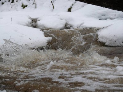 Ariekste (Daugava tributary) during spring melt