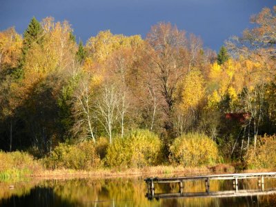 Talsi area