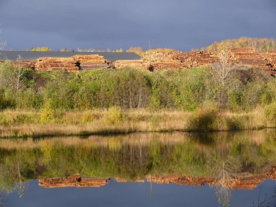 Talsi area