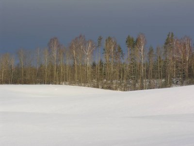 Jaunmoku area