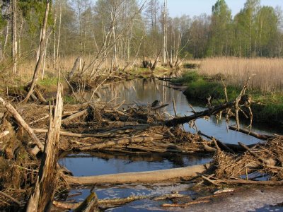 Age river