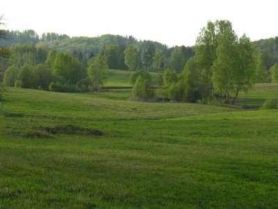 Korneti area