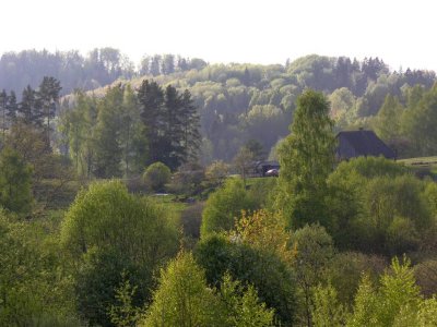 Korneti area