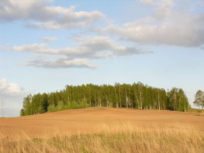 Baltinava area