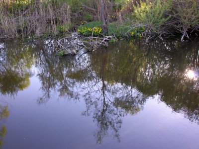 Ritupe river near Karsava