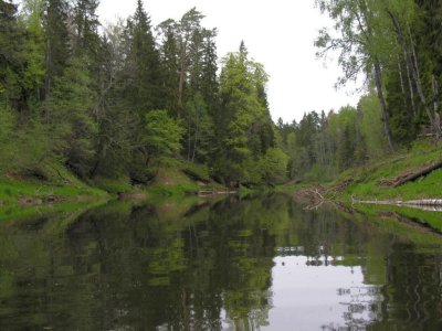 Abava