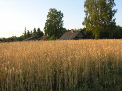 Andzeli area
