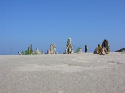 Sikrags