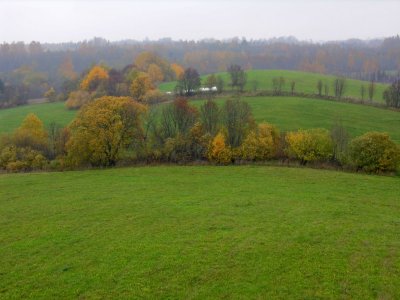 Drusti area